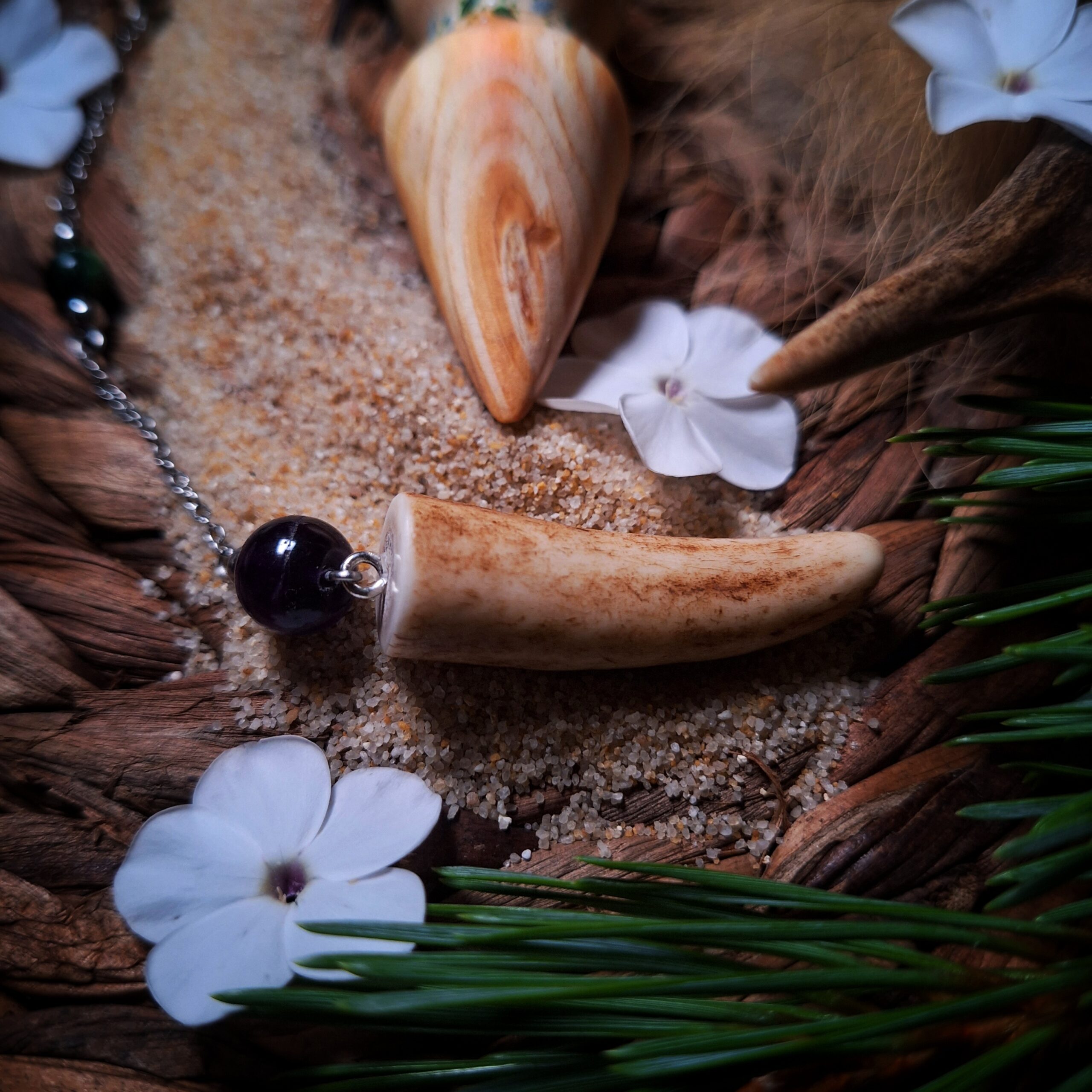 Artemis - Obrázek 3